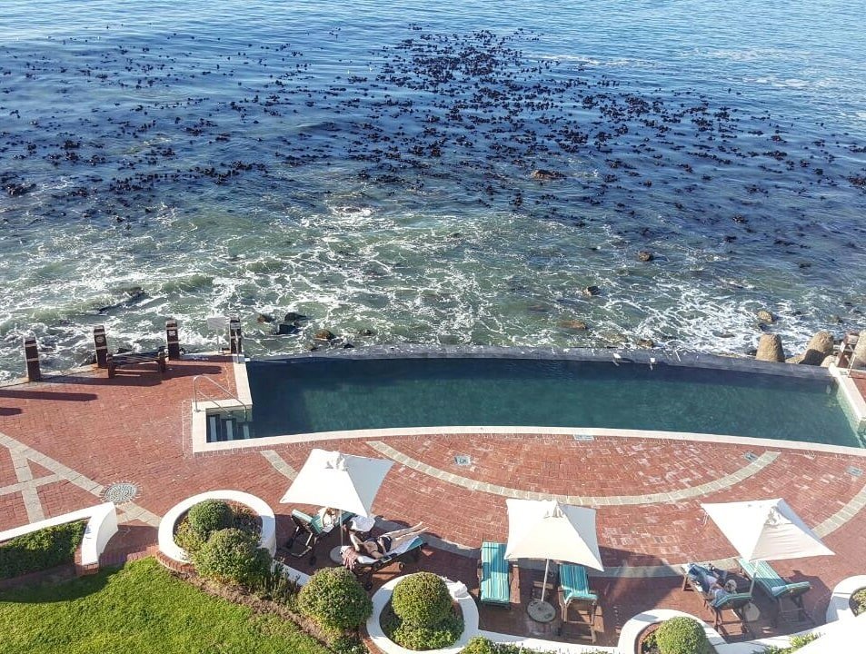 Staying at the Radisson Blu Waterfront Hotel in Cape Town