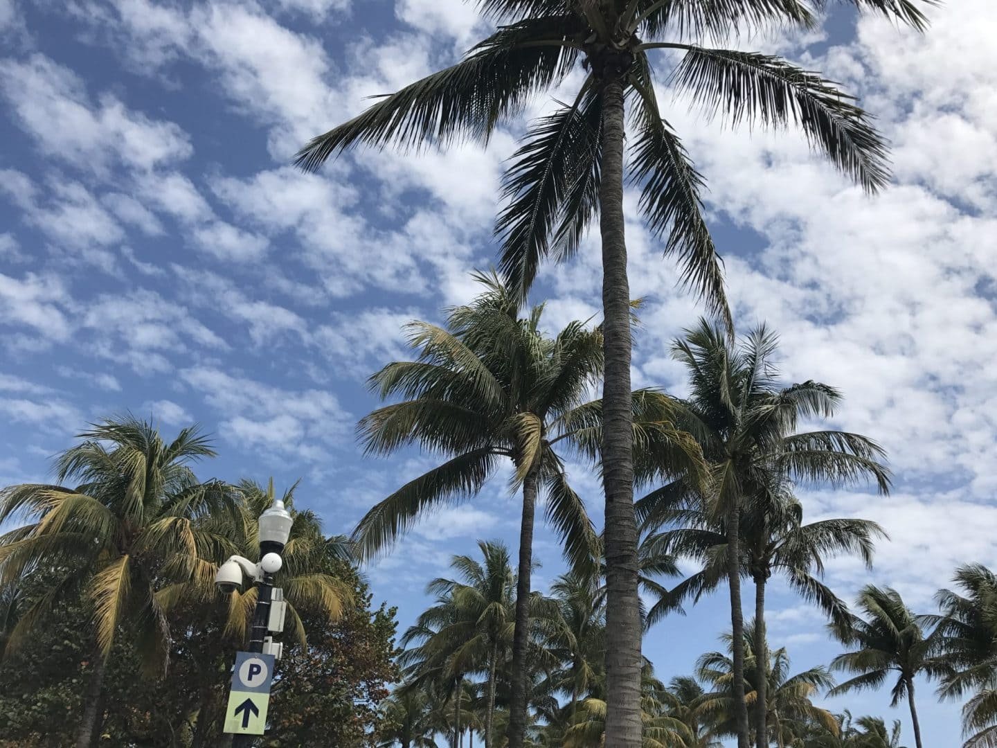 Staying at Circa 39 Hotel in Miami,Florida