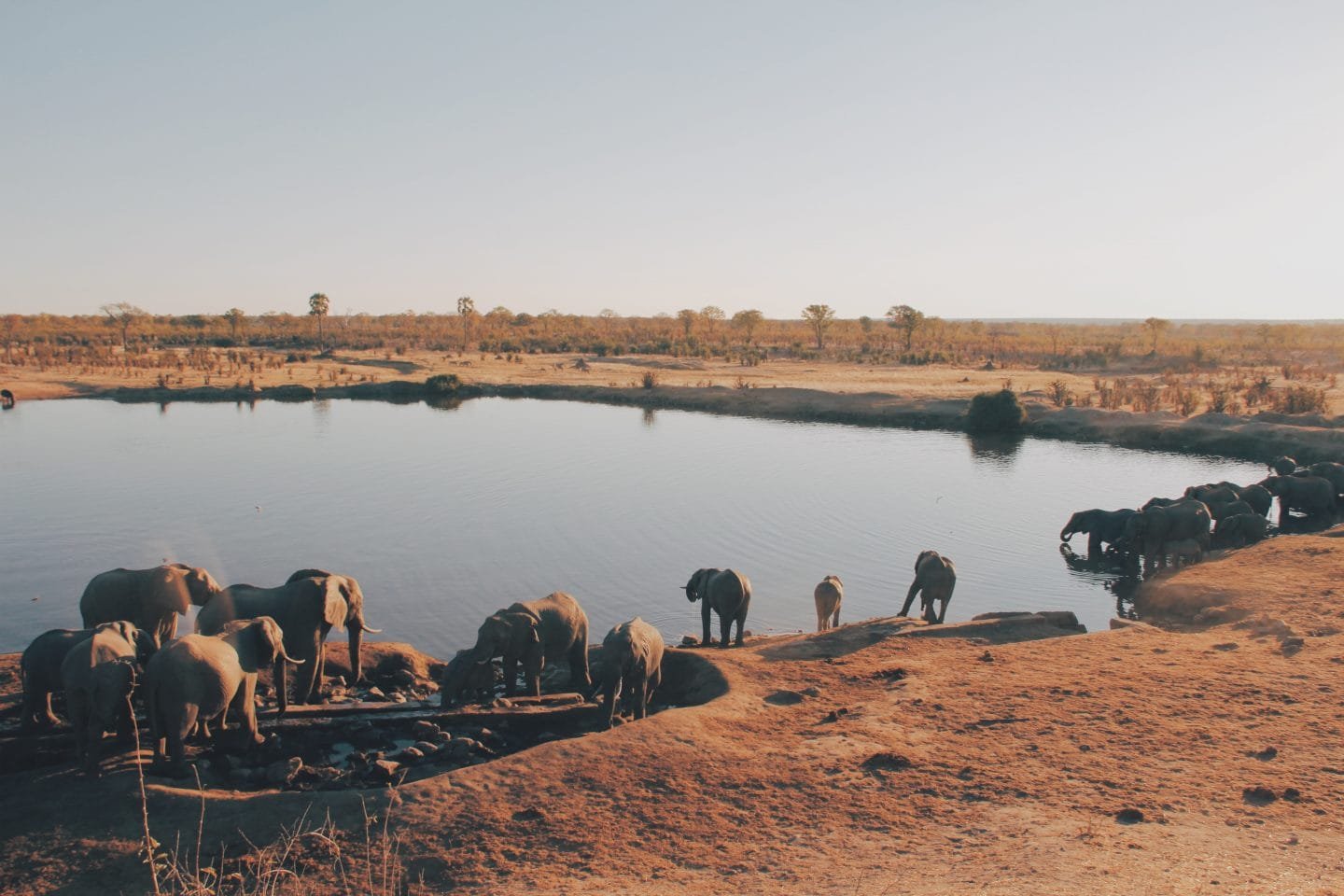 Things to do in Kruger Park