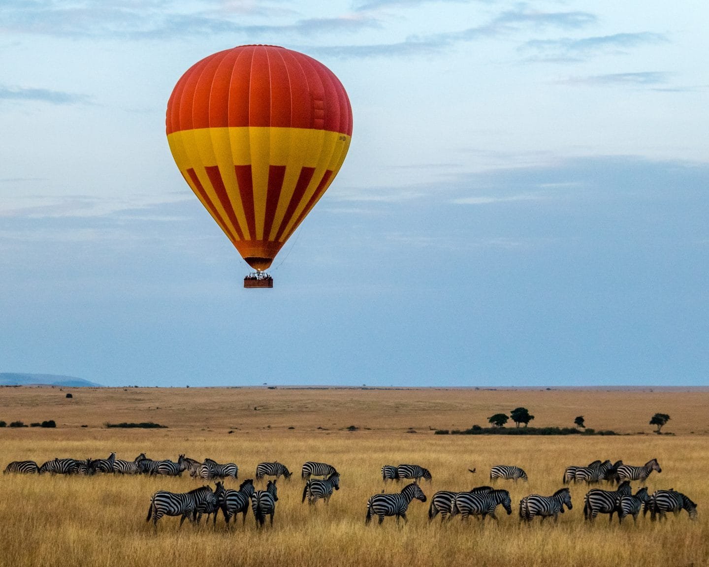 kruger national park safari