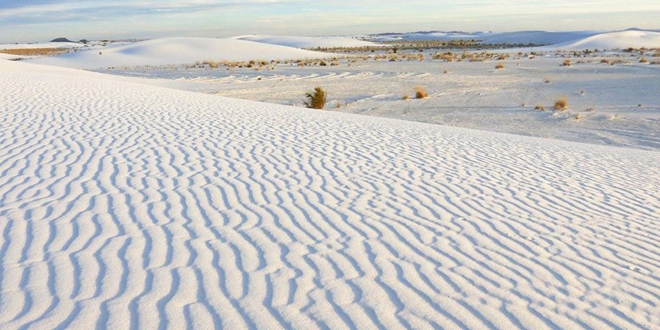 New Mexico